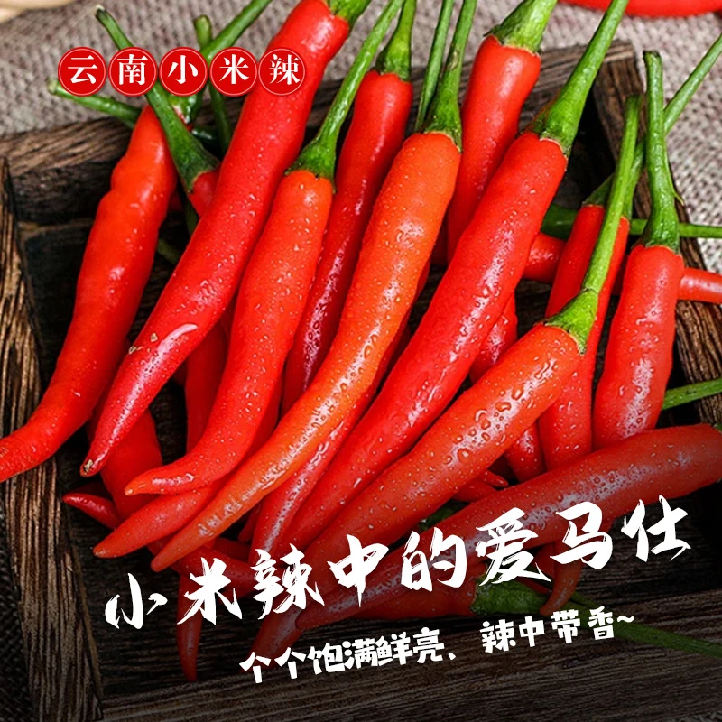 云南高山小米辣现采摘特辣小米辣朝天椒泡椒小米辣新鲜批发