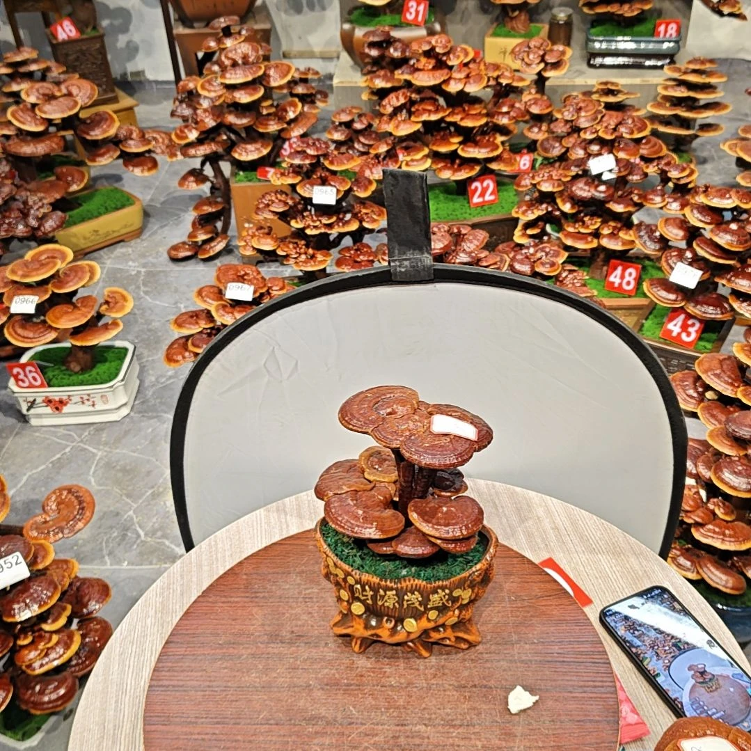 玉*灵芝盆景高端大气上档次