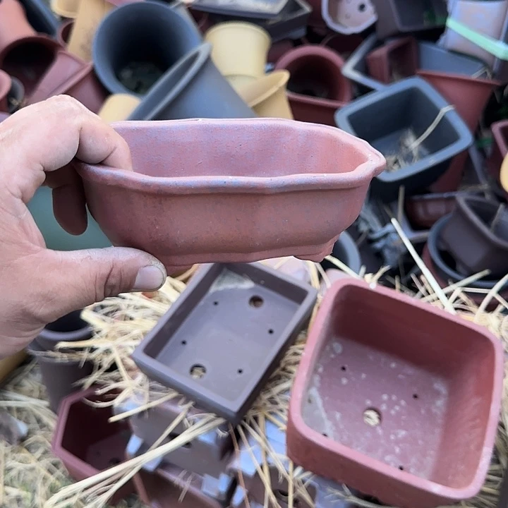 不去看书啊哈是真的想