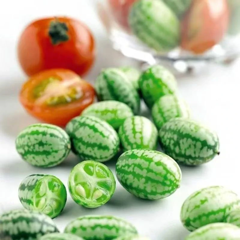 【满5包包邮】拇指西瓜种子一年四季种薄皮可吃迷你小西瓜籽种高产