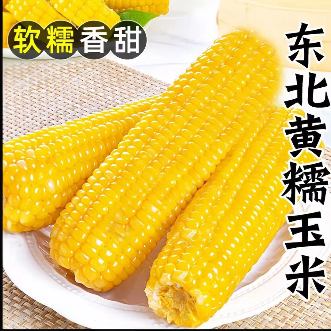 【试吃两根】东北黄糯玉米10根整箱5-6斤真空包装Z