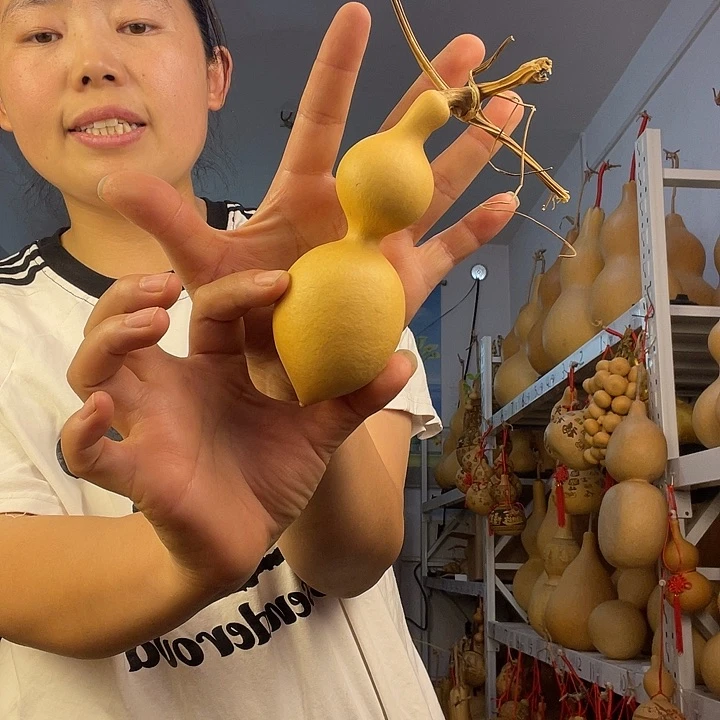 天然葫芦一物一图看图片