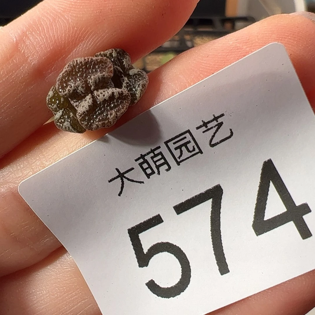 0000574 一物一拍。