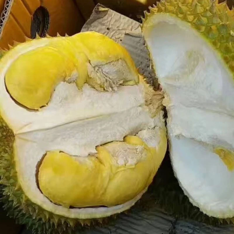 【榴莲】现场开果香甜软糯新鲜甲仑榴莲同城起手配送重庆主城小时达1.5kg以上甲仑榴莲核大甲仑重庆市