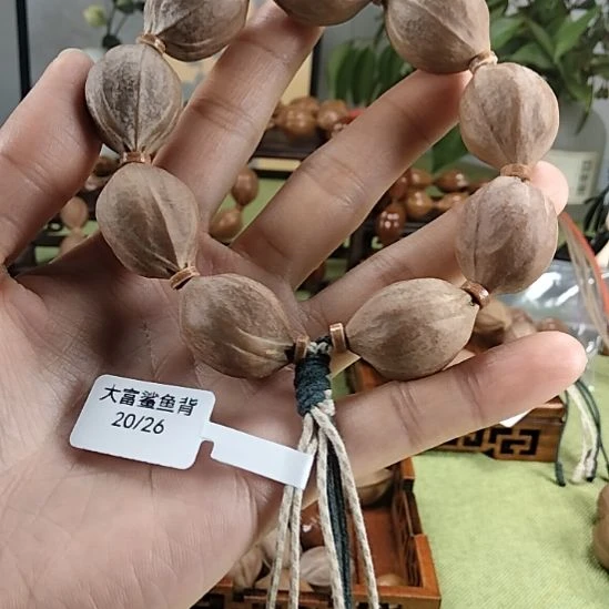 阿***皮2026梅林铁核一物一图