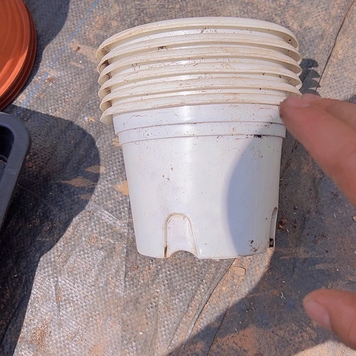 白色圆盆口径14高10发25个