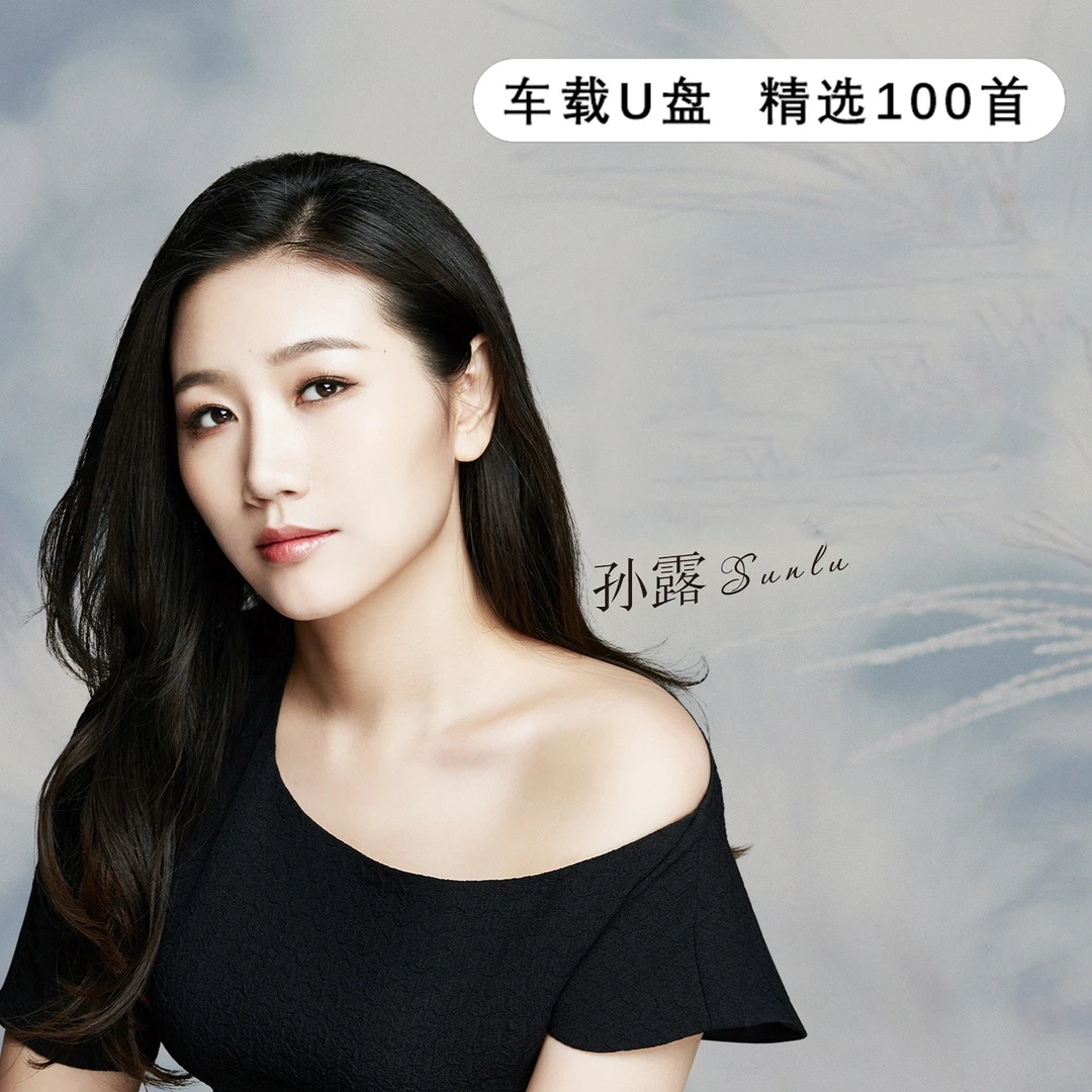 孙露歌曲u盘专辑经典老歌发烧情歌流行车载无损高音质mp3音乐优盘