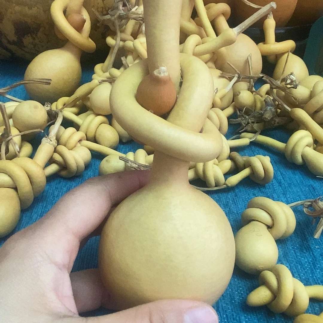 伍***万一把葫芦便宜漏了