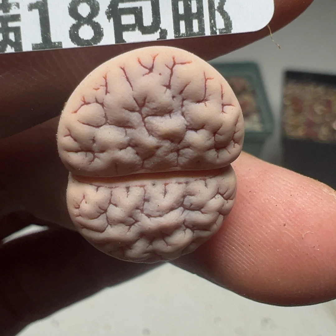 【闪购商品】077……