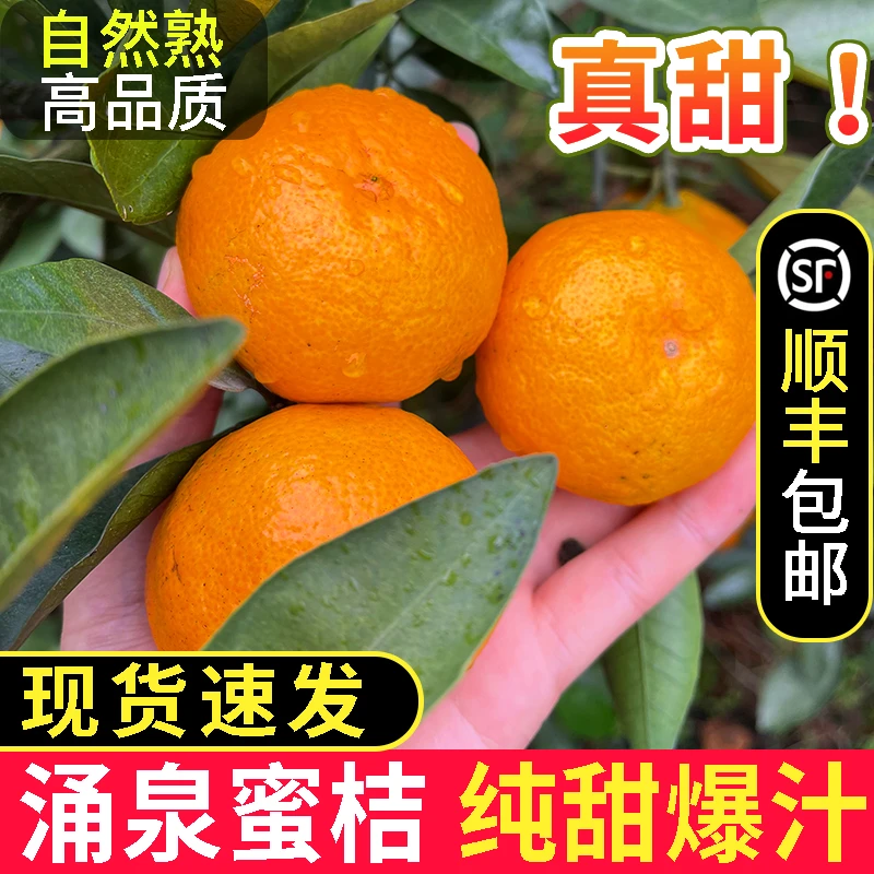 正宗临海涌泉蜜桔当季新鲜无核黄岩蜜橘高山早熟宫川多汁顺丰礼盒