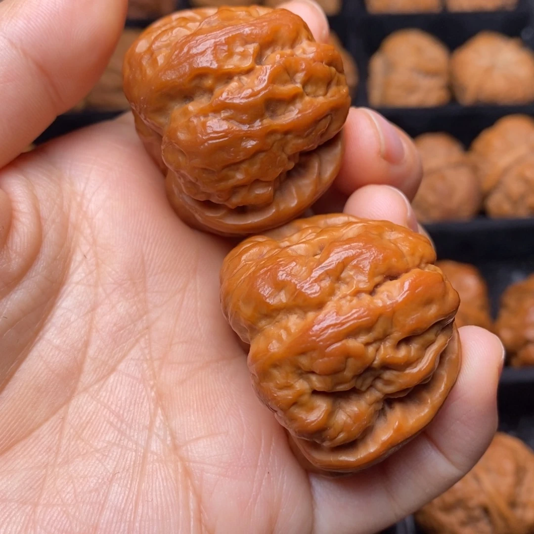 文玩核桃把件秦岭野生核桃