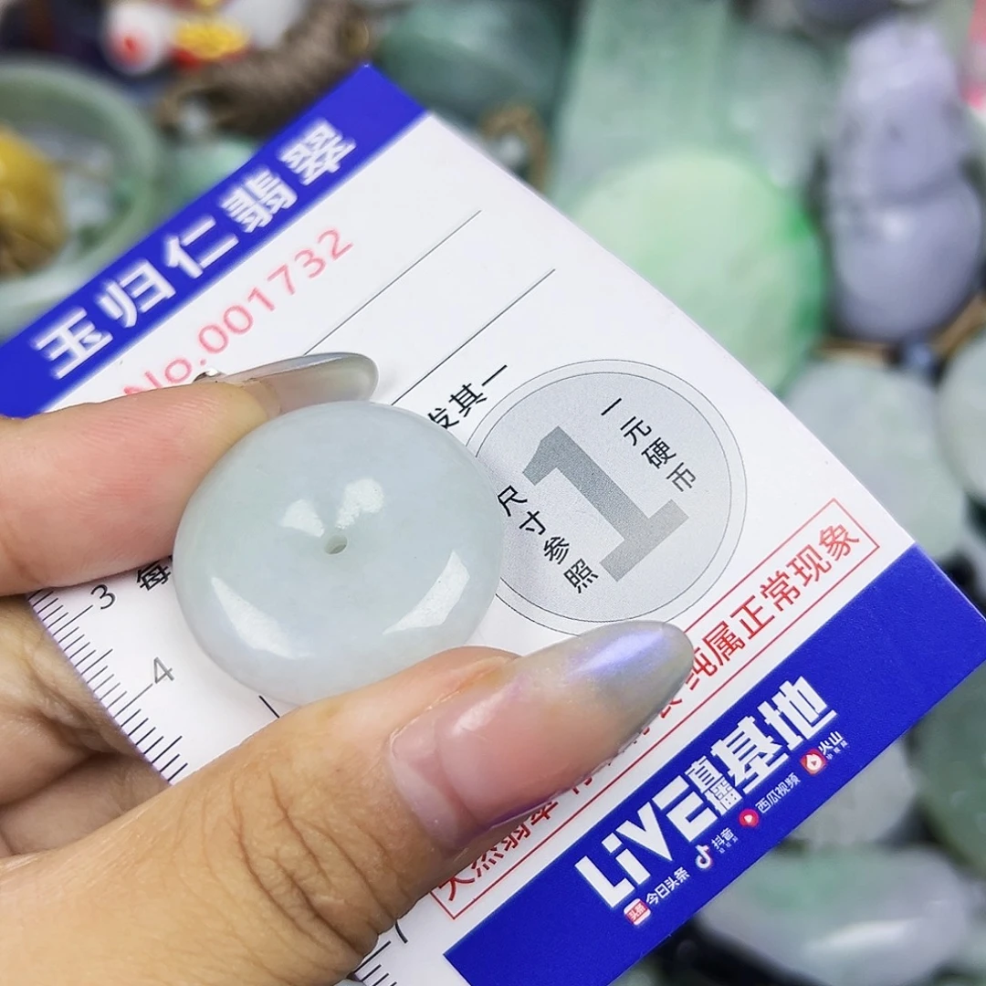 翡翠未镶嵌吊坠(不含链)111