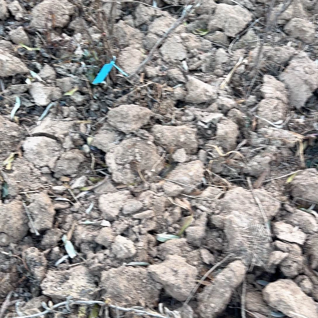 完全开放111111111111