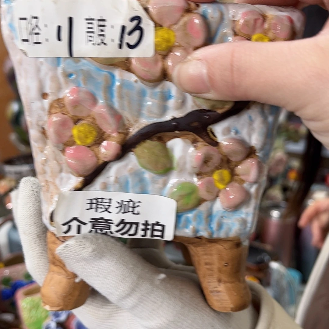 【闪购商品】红陶福利