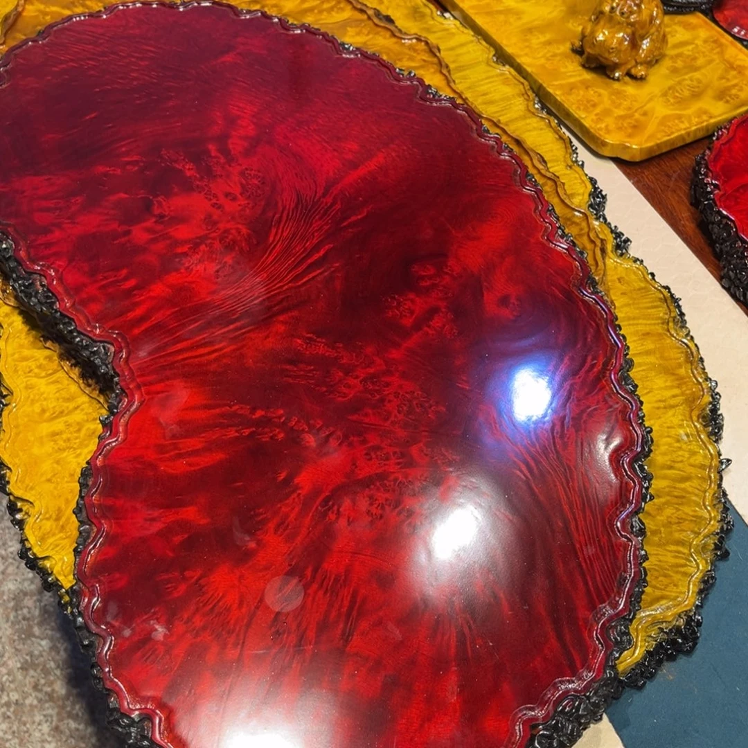 博***杨黄金樟干泡福利来了了