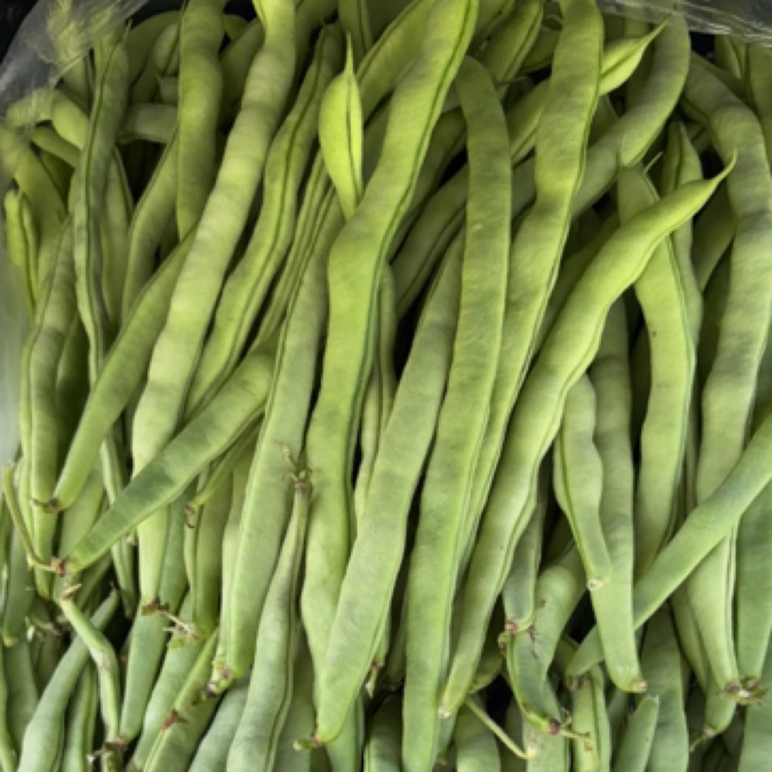 贵州露天种植无筋豆