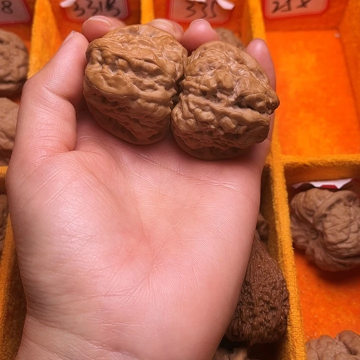 核桃涞水山地果蛤莫头44尺