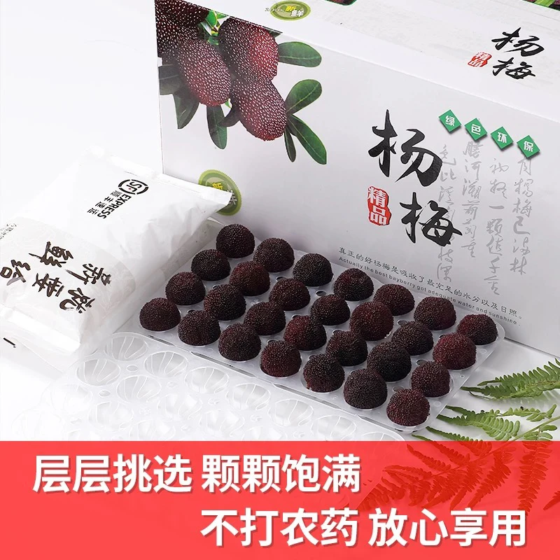【顺丰冷链精品包邮】正宗慈溪大山荸荠杨梅鲜果应季新鲜84颗礼盒