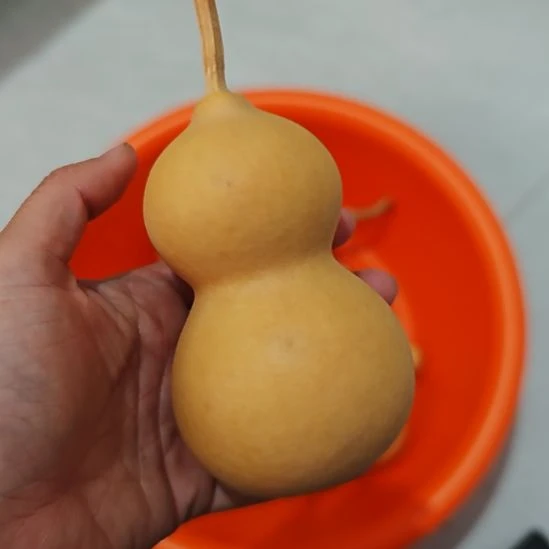 木桌面摆件一物一拍4