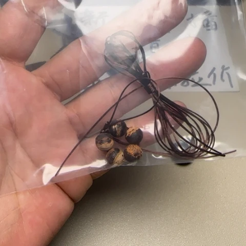天***枭藤类降真香黄金甲0.8+5颗…