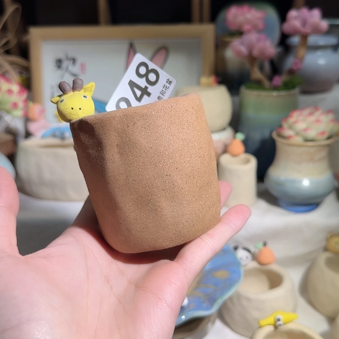 248 口5 福利特惠 非偏远两单包邮