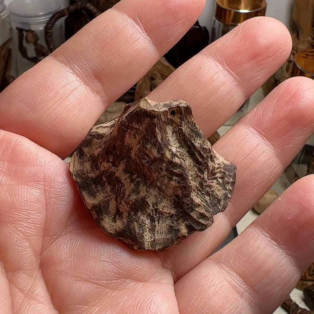 沉香碎屑沉香斯里兰卡耳朵料28克