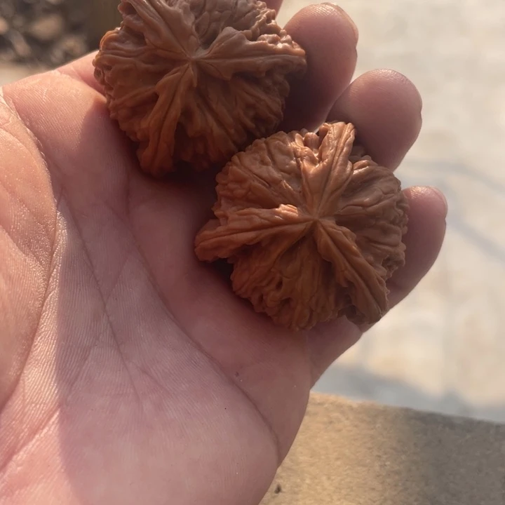 艾***乔文玩核桃吊坠三棱三棱三棱三棱