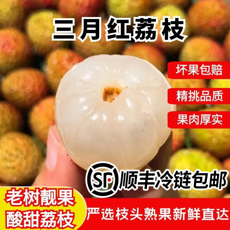 【顺丰冷链】新鲜荔枝现摘果肉饱满多汁当季水果原产地直发酸甜可口