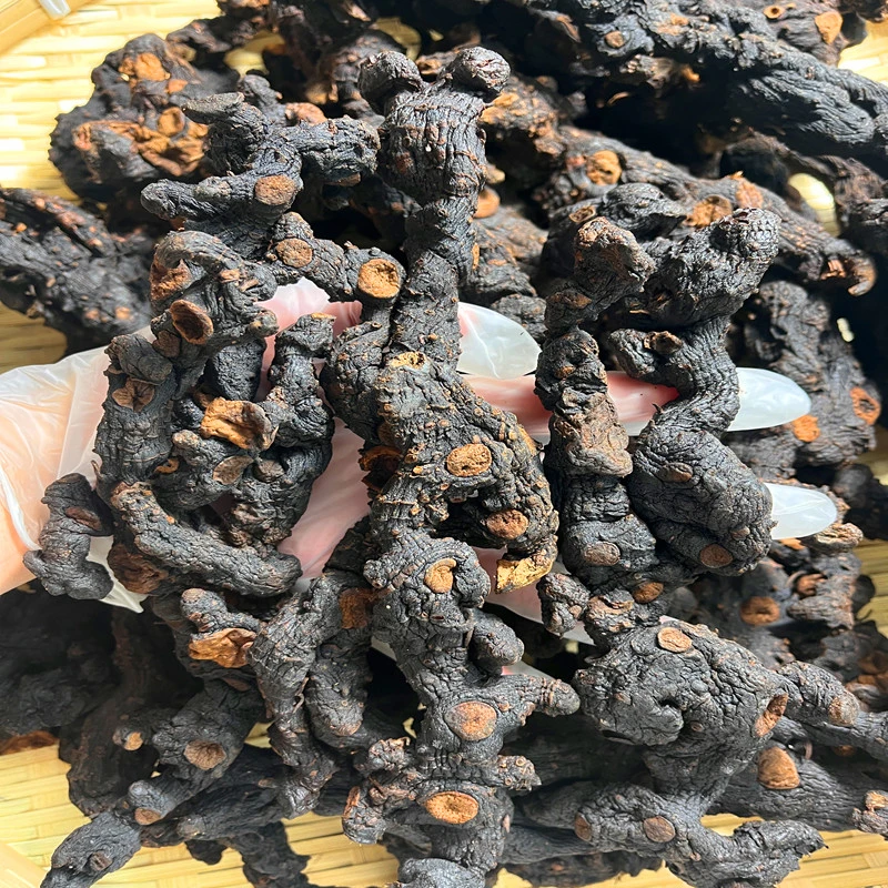 【原味】九蒸九晒10年份多花品种野生山货仙人余粮