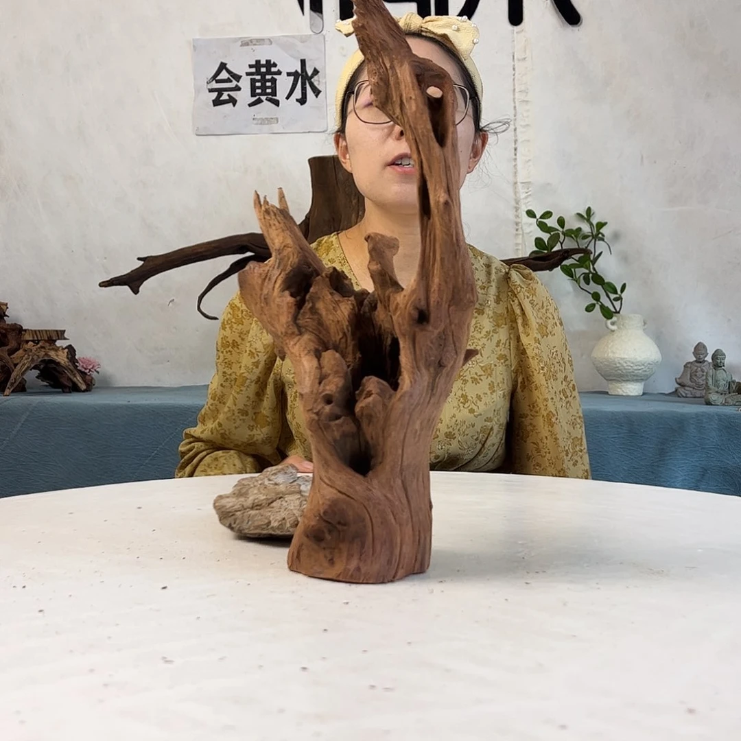 沉木造景寄居蟹景