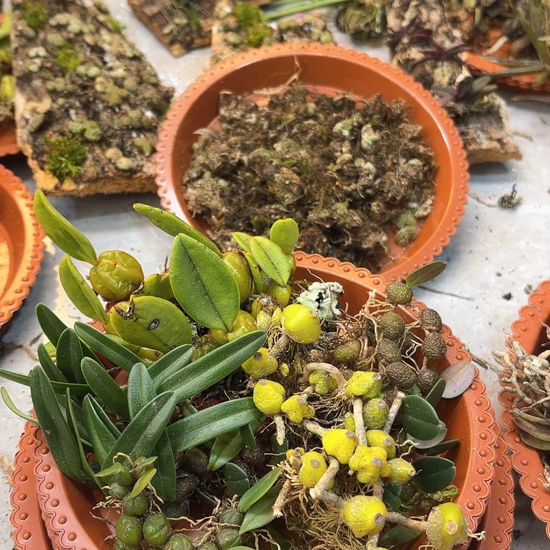 建*。53。。。。。。。。。。。。。。