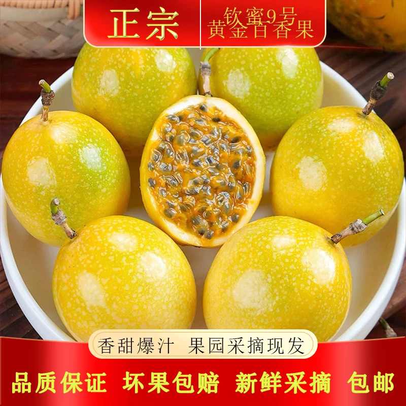 正宗钦蜜9号百香果新鲜现摘香甜多汁产地直发包邮