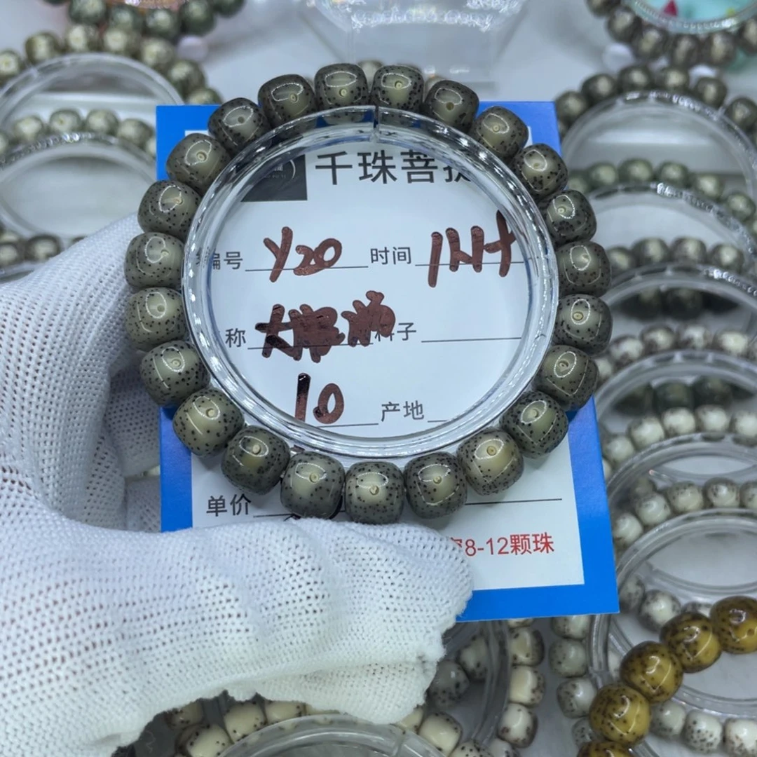 菩提籽类Y20大眼睛