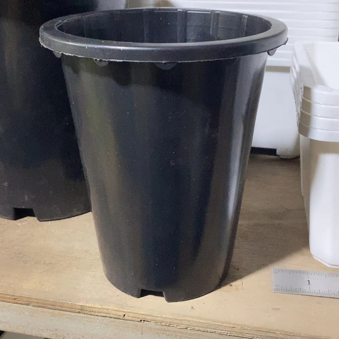 塑料新15公分黑兰花盆15个