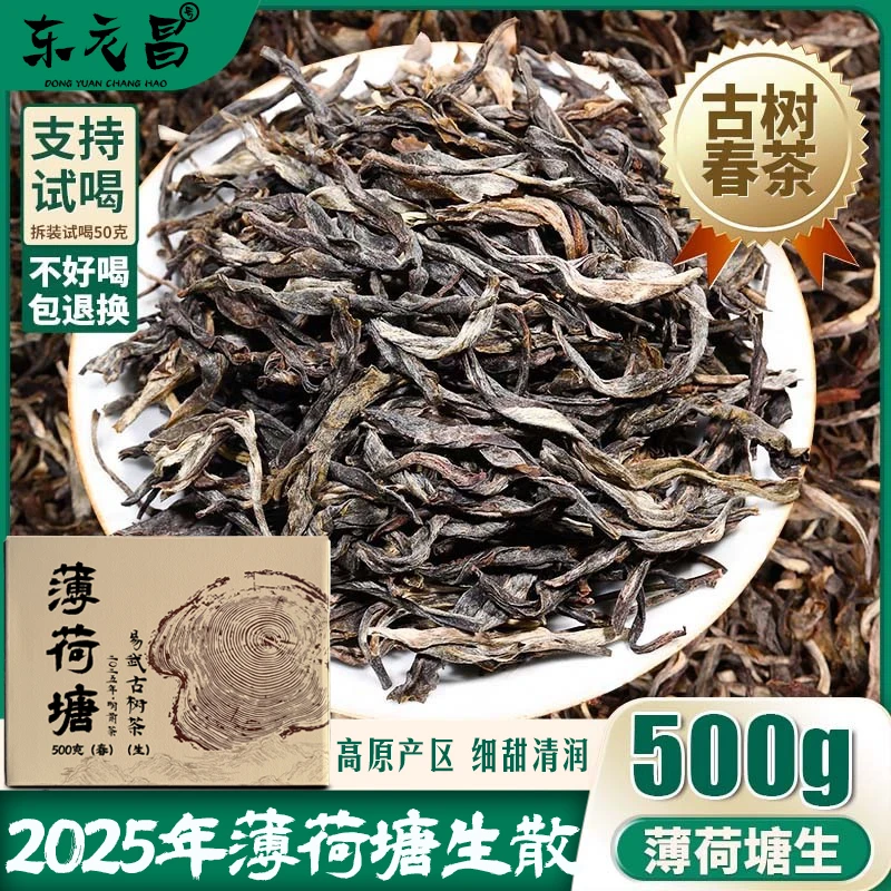 易武薄荷塘生茶2025普洱茶新茶云南古树普洱茶生散礼盒装散茶茶叶