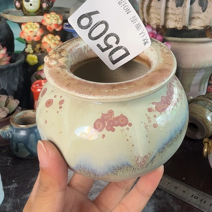 重庆小燕子欢迎大家509