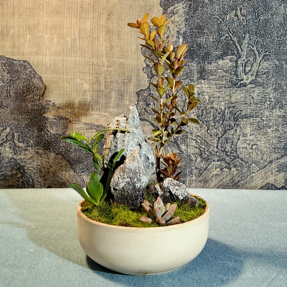 研山非遗技艺英石假山盆景真植版DIY素材包中式创意手工