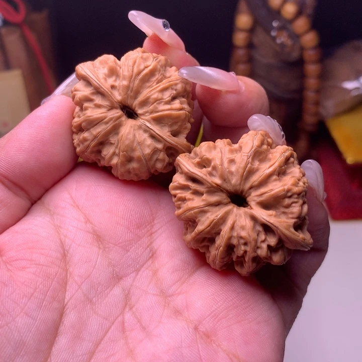 文玩核桃把件龙洞裕