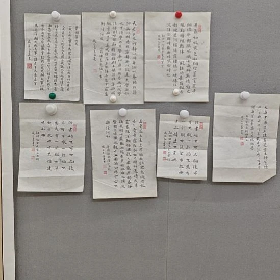 用***7秦玉良老师精品书法作品