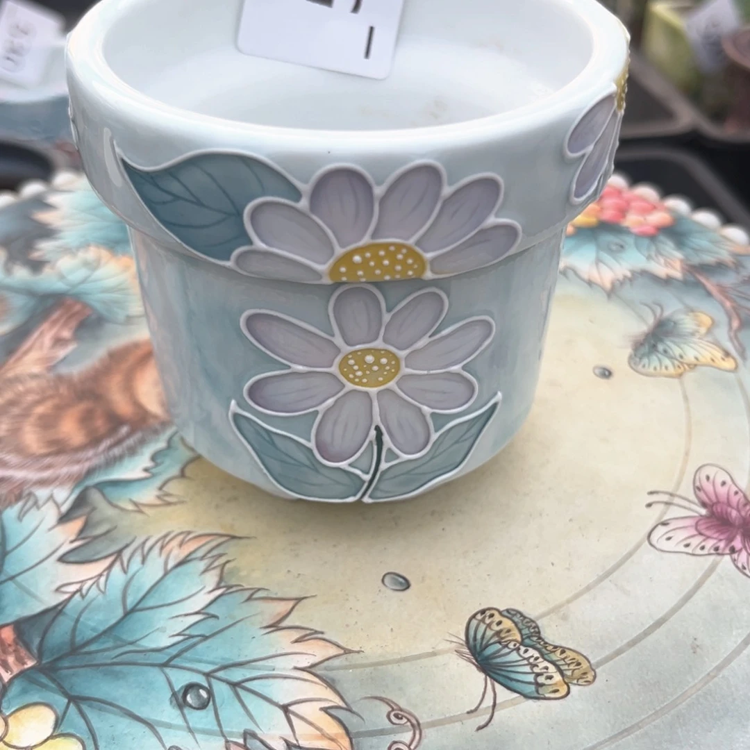 红陶?*木531花盆1个