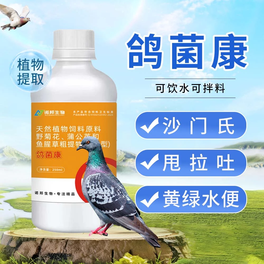 鸽菌康250ml 鸽菌净化沙门氏菌大肠杆菌肉鸽赛鸽种鸽鸽子用添加剂
