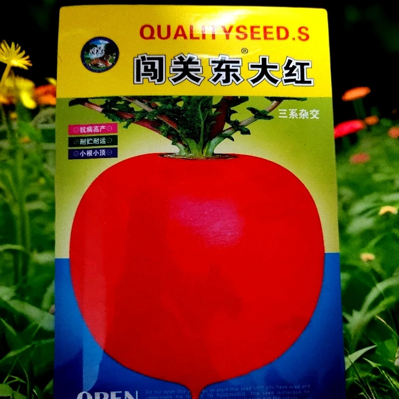 闯关东大红萝卜籽10克左右