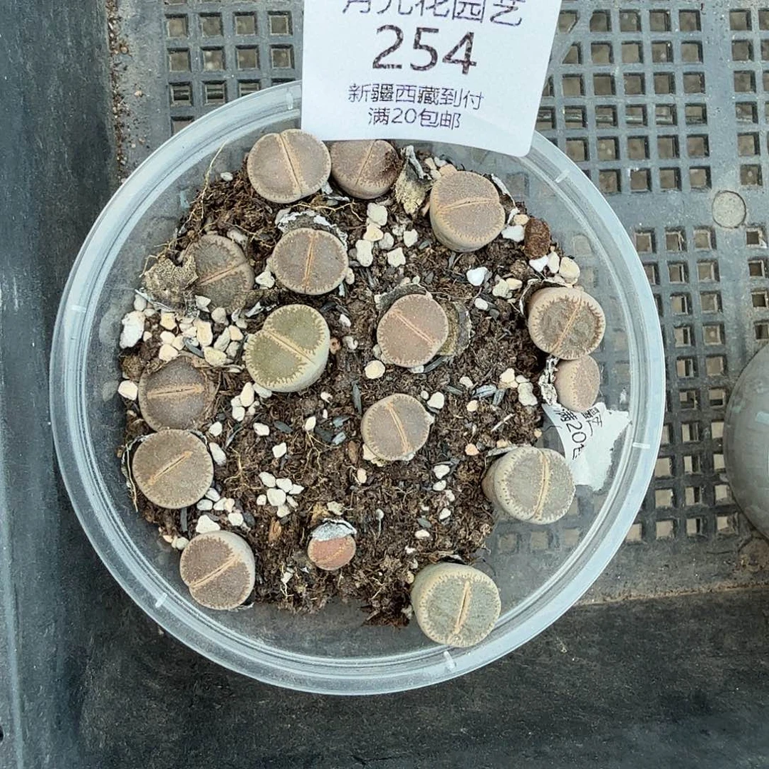 不会在有你电话吧亲一254