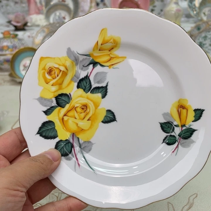 盘维多利亚欧洲中古