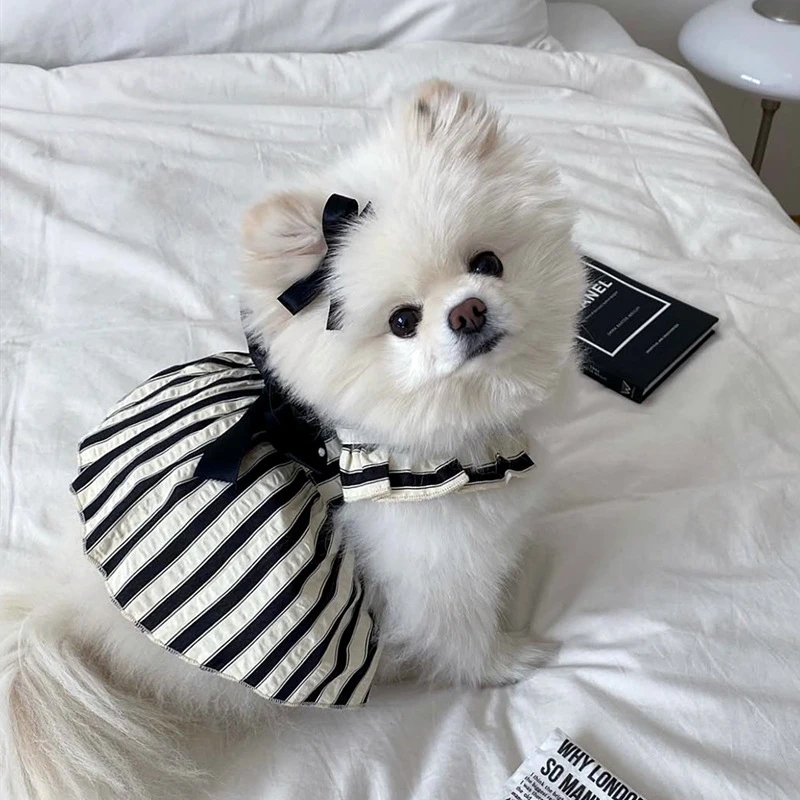夏天宠物狗狗衣服夏季薄款泰迪比熊博美小型犬猫咪公主带牵引裙子