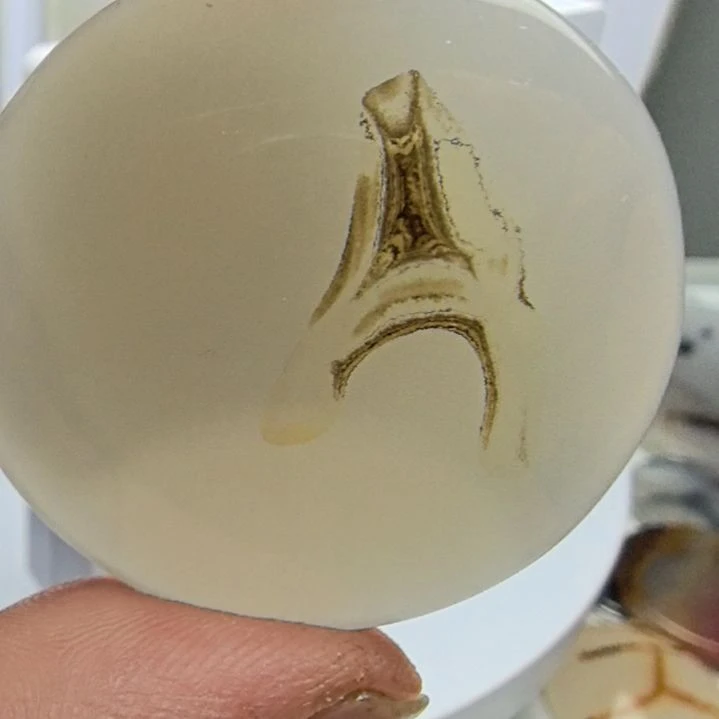 非金属时尚饰品02