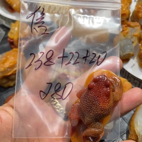 【闪购商品】石英质玉（黄龙玉）未镶嵌颈饰信**?
