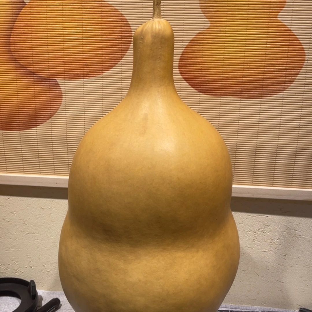 走***5仿木不包邮不保龙头