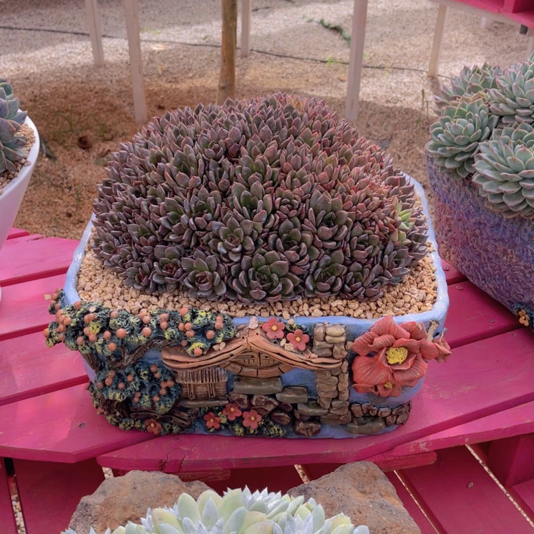 海***燕黑水晶缀化花盆11111