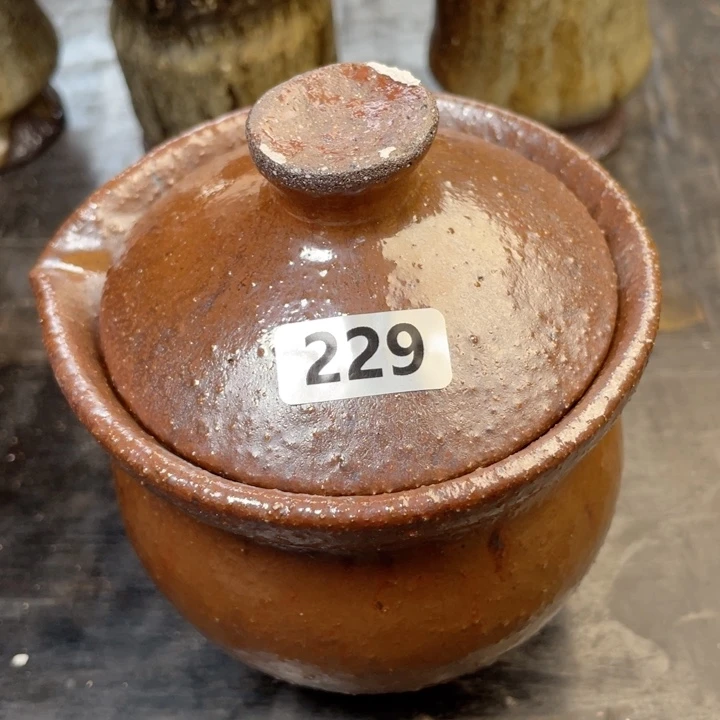 茶宠盏盏灯都是我的爱啊